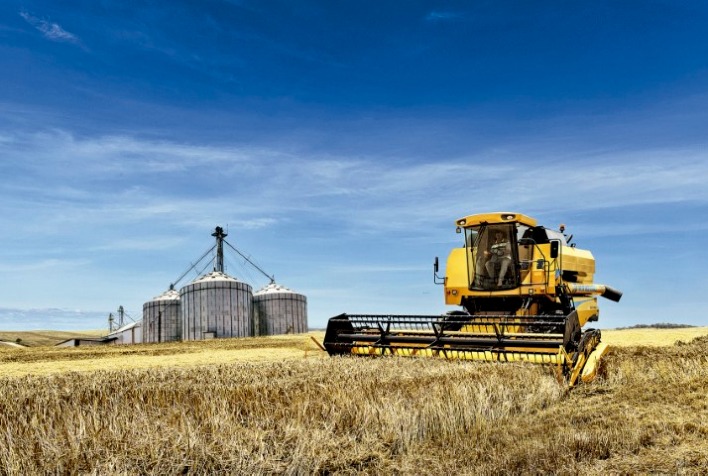 Quanto o Ministério da Agricultura poderá disponibilizar para apoiar a comercialização do trigo?