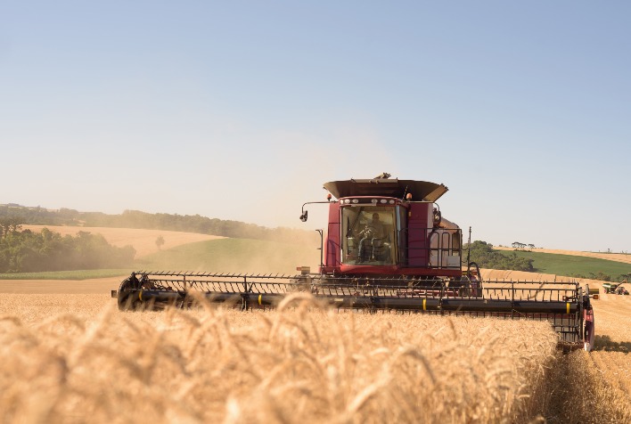 Quantos milhões de toneladas os grãos colhidos na Ucrânia em 2023 ultrapassaram, de acordo com o ministério?