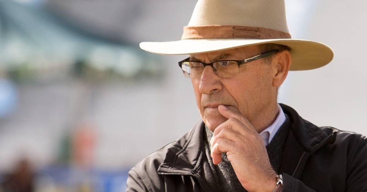 Quem é Almor Paulo Antoniolli e por que a pecuária nacional o perdeu?