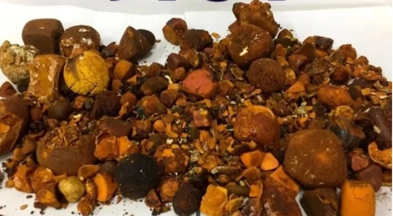 Quem está investigando o roubo de R$ 2 milhões em pedras de boi? 1 quem esta investigando o roubo de r 2 milhoes em pedras de boi