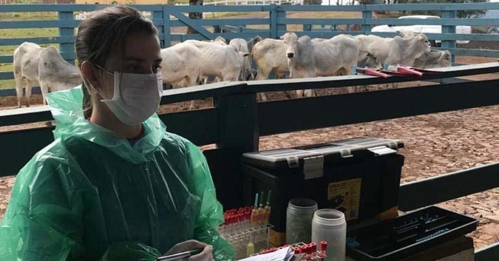 quem participa da capacitacao sobre sanidade animal do indea 1