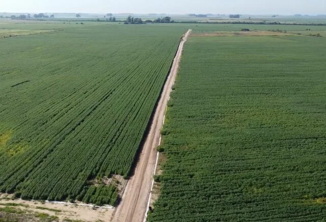 Segundo Faesp, a decisão do STF de derrubar o marco temporal é uma derrota para toda a sociedade? 13 soja de várzea