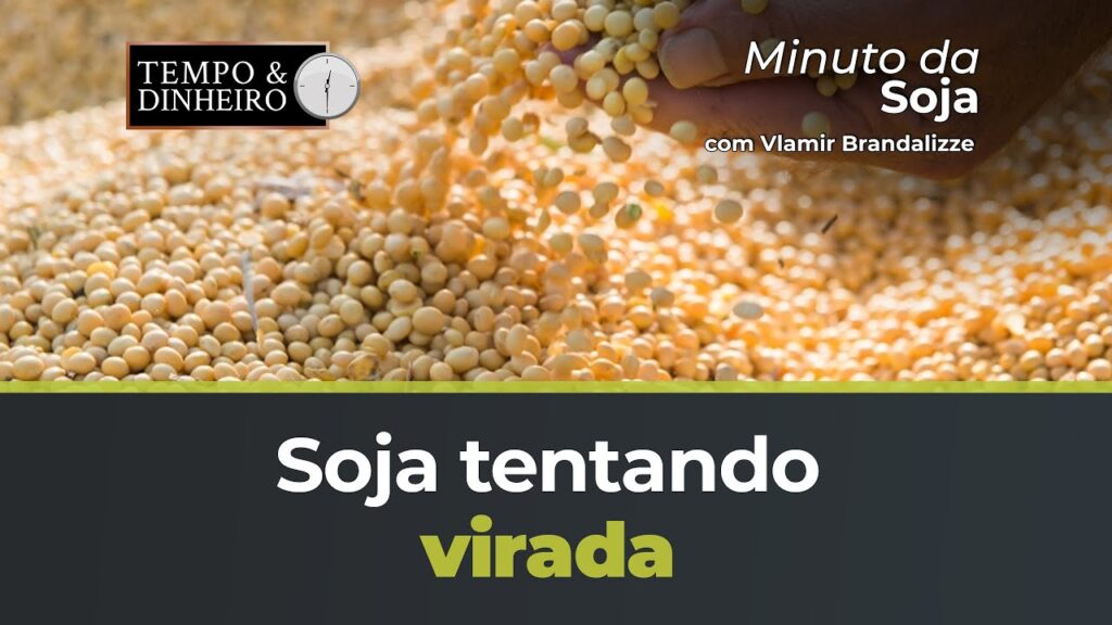 Será que a soja está prestes a passar por uma grande reviravolta segundo as notícias agrícolas? 7 sera que a soja esta prestes a passar por uma grande reviravolta segundo as noticias agricolas
