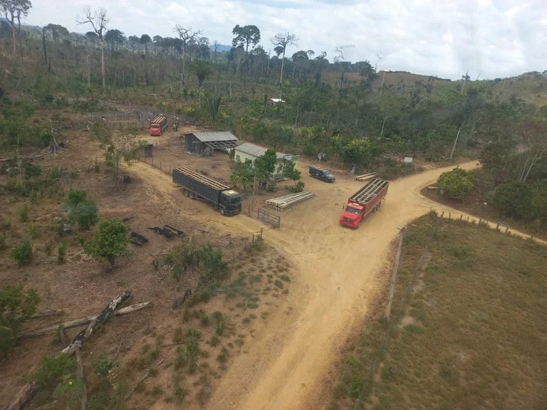voce viu o ibama apreendendo 2 mil cabecas de gado em uma operacao