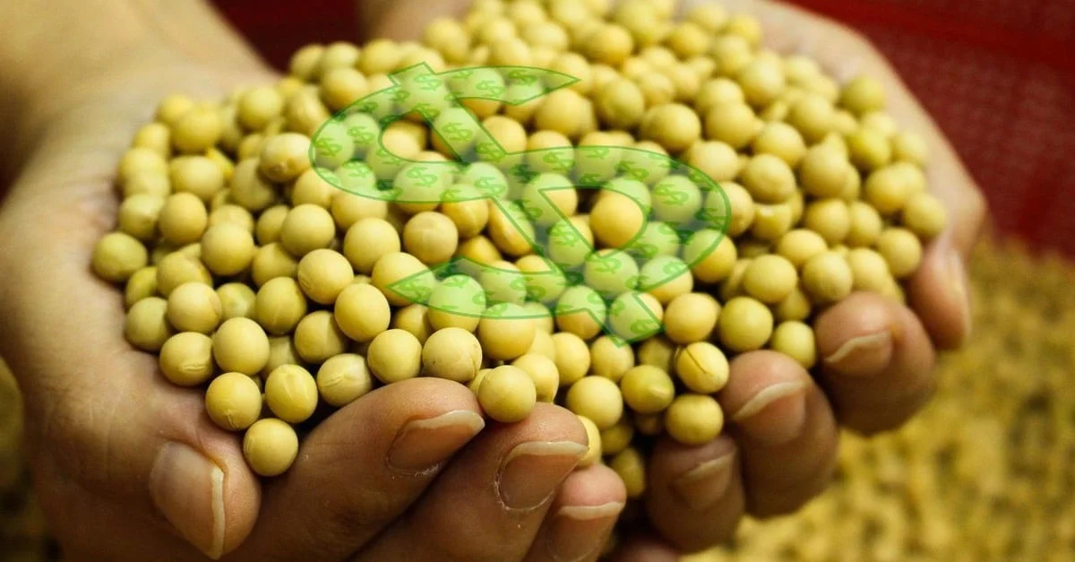 2022: Soja em alta ou baixa? 16 comportamento de Chicago na semana melhorou negócios no Brasil