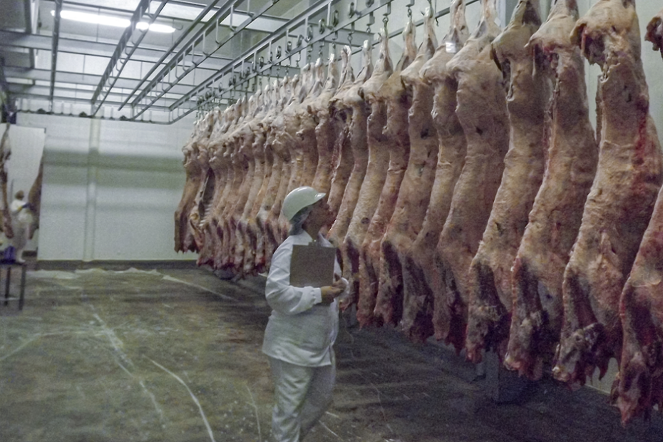 Exportações de carne bovina in natura retomam o fôlego na 2ª semana de outubro/23 • Portal DBO