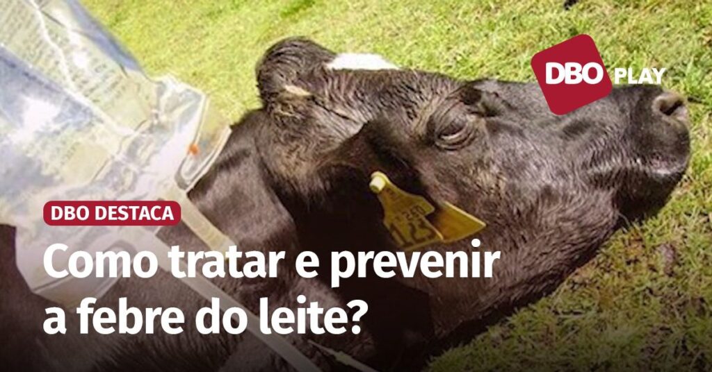 os impactos na produção de leite e no bolso do pecuarista • Portal DBO