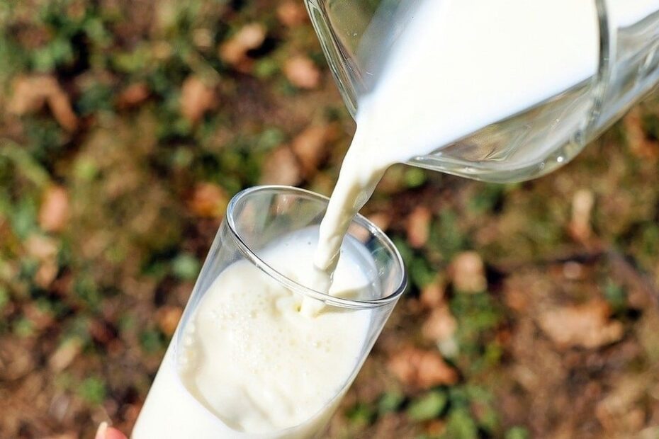 OCB comemora decreto que beneficia produtores de leite