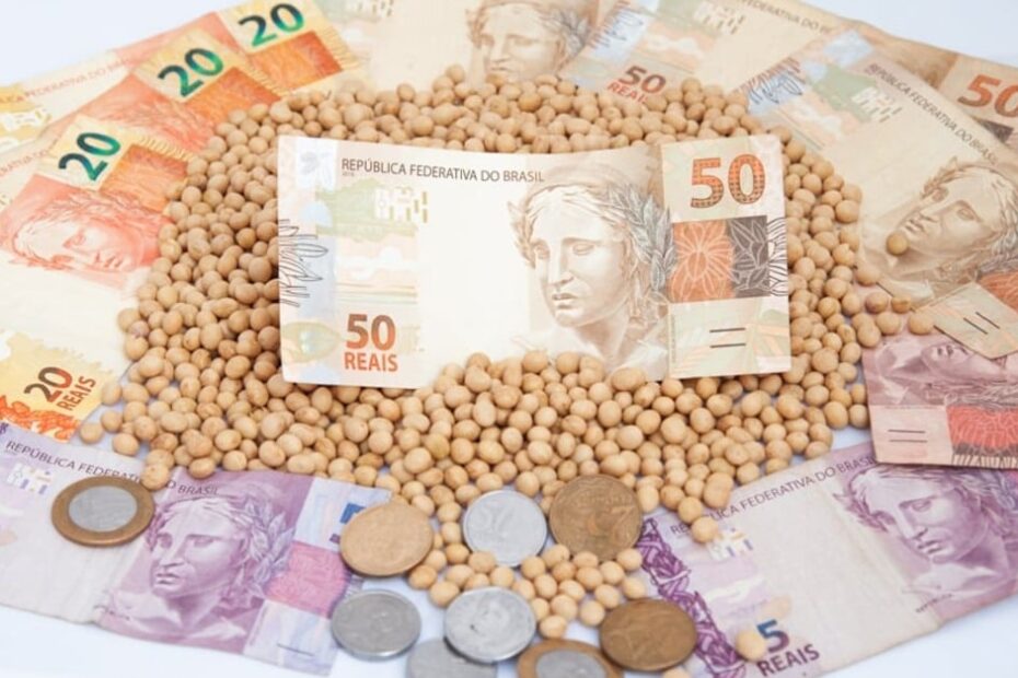 Dólar e Chicago em sentidos opostos afetam preços da soja no Brasil