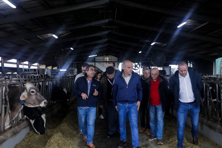 PCP defende intervenção do Governo nos custos de produção do leite