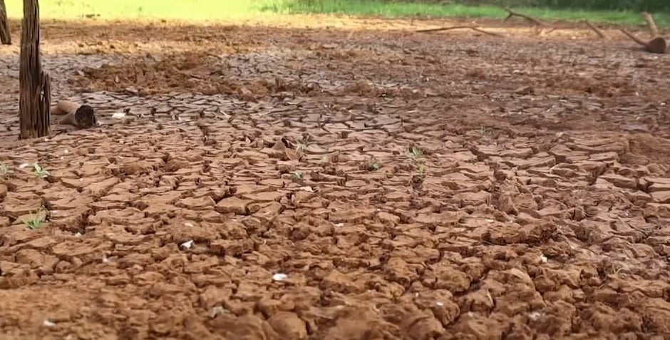 Por que o governo acionou usinas termoeletricas em Rondonia devido