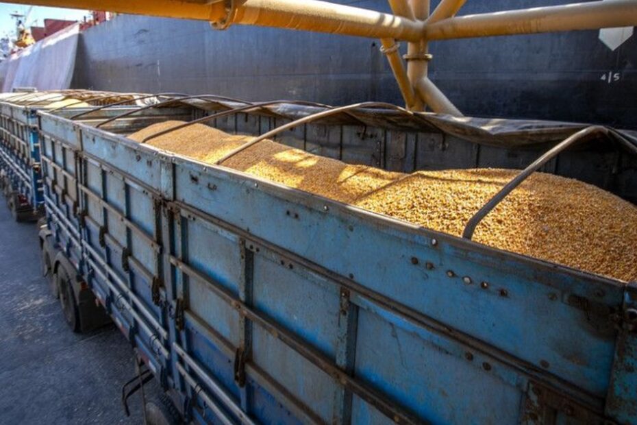 Qual e a previsao de exportacao de milho em outubro