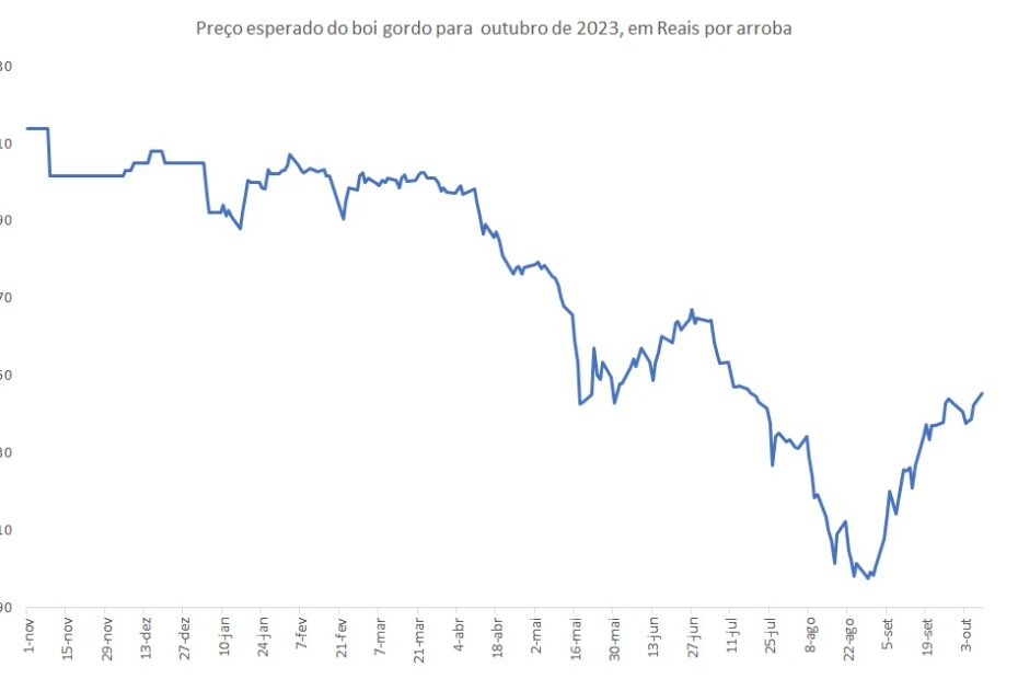 preço futuro da carne bovina