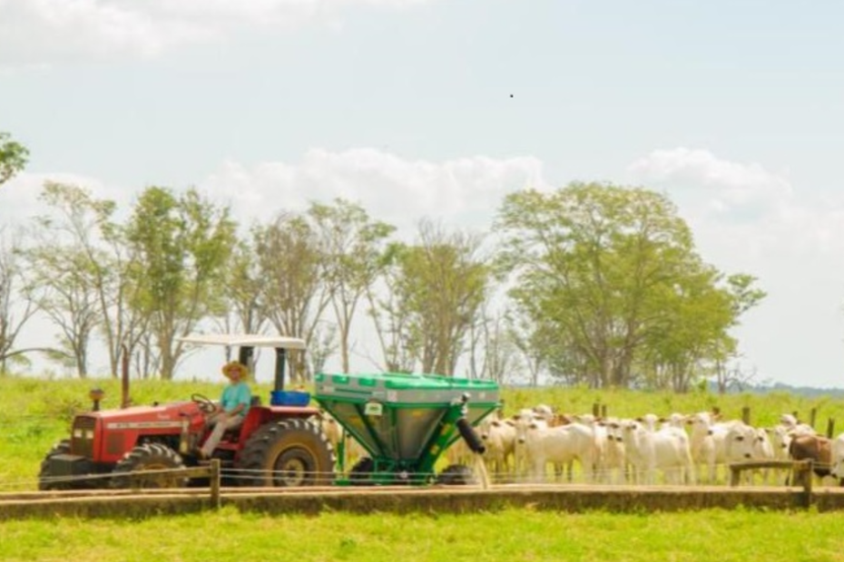 Valor da Produção Agropecuária é atualizado para R$ 1,150 trilhão este ano • Portal DBO