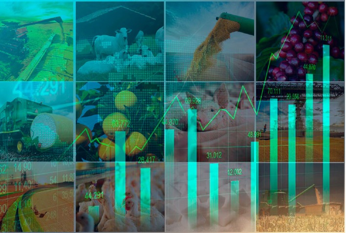 Qual foi o crescimento do agronegocio brasileiro no primeiro semestre