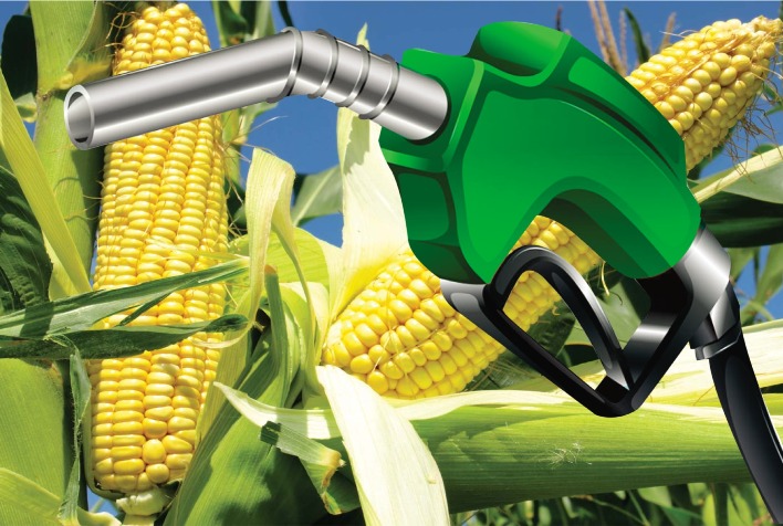 Quantos milhoes de milho foram utilizados para producao de etanol