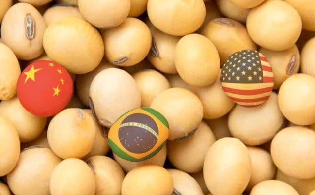 A soja no Brasil iniciou a semana em baixa devido à influência do cenário externo?