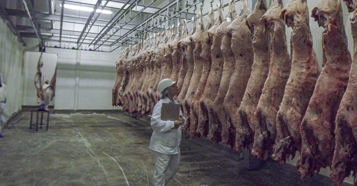 As exportações de carne bovina se recuperam?
