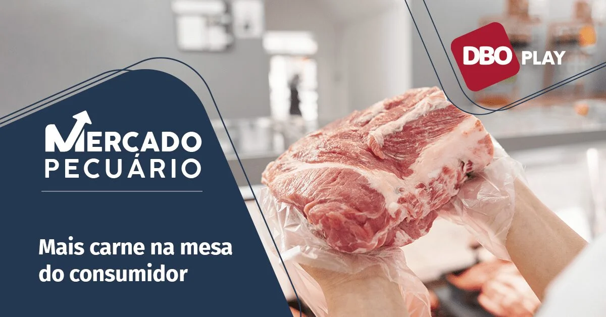 Aumento do consumo dispara preço do boi em 2023?