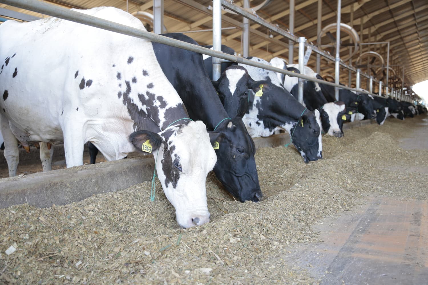 Como calcular a demanda? Planilha e guia!