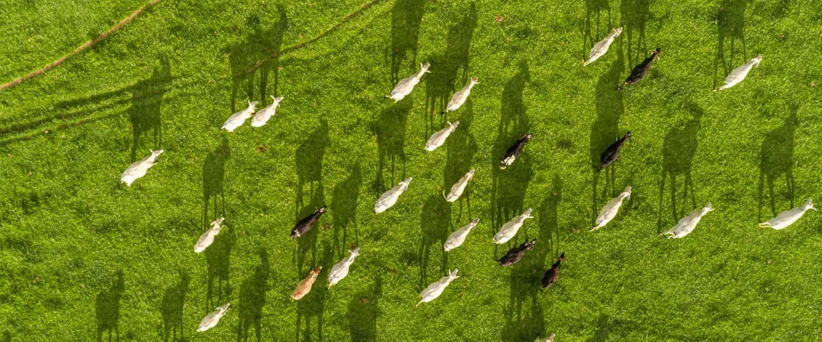 Como calcular a taxa de lotação e capacidade de suporte? 29 Facebook