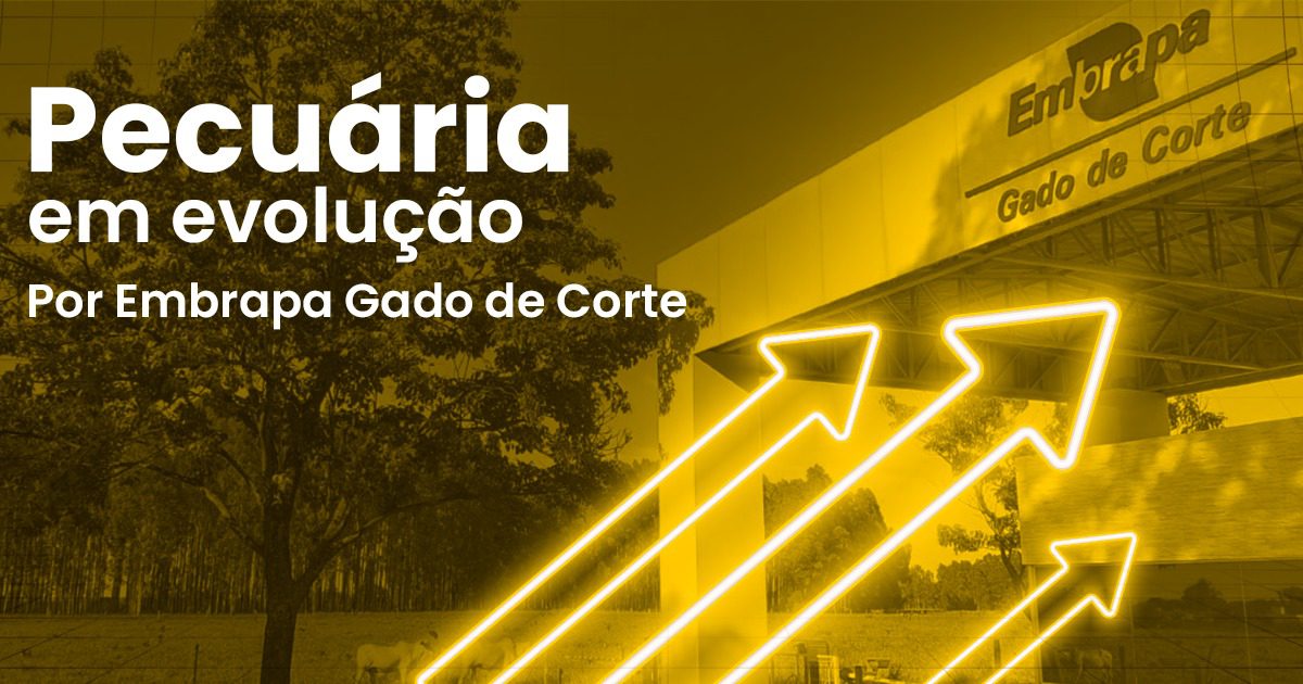 Como é possível controlar o carrapato em bovinos sem utilizar acaricidas no Portal DBO?