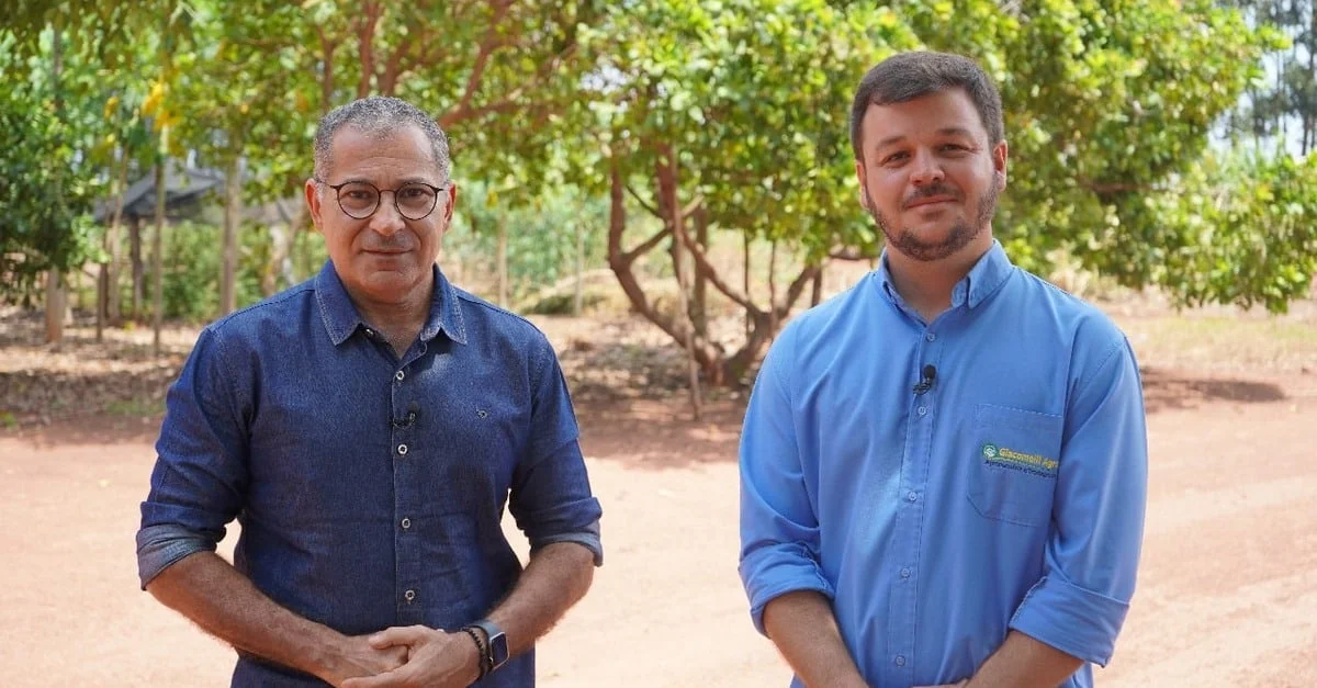 Como garantir segurança nas decisões na safra 2023/24? 1 Pé firme nas tomadas de decisões é essencial na safra 2023/24