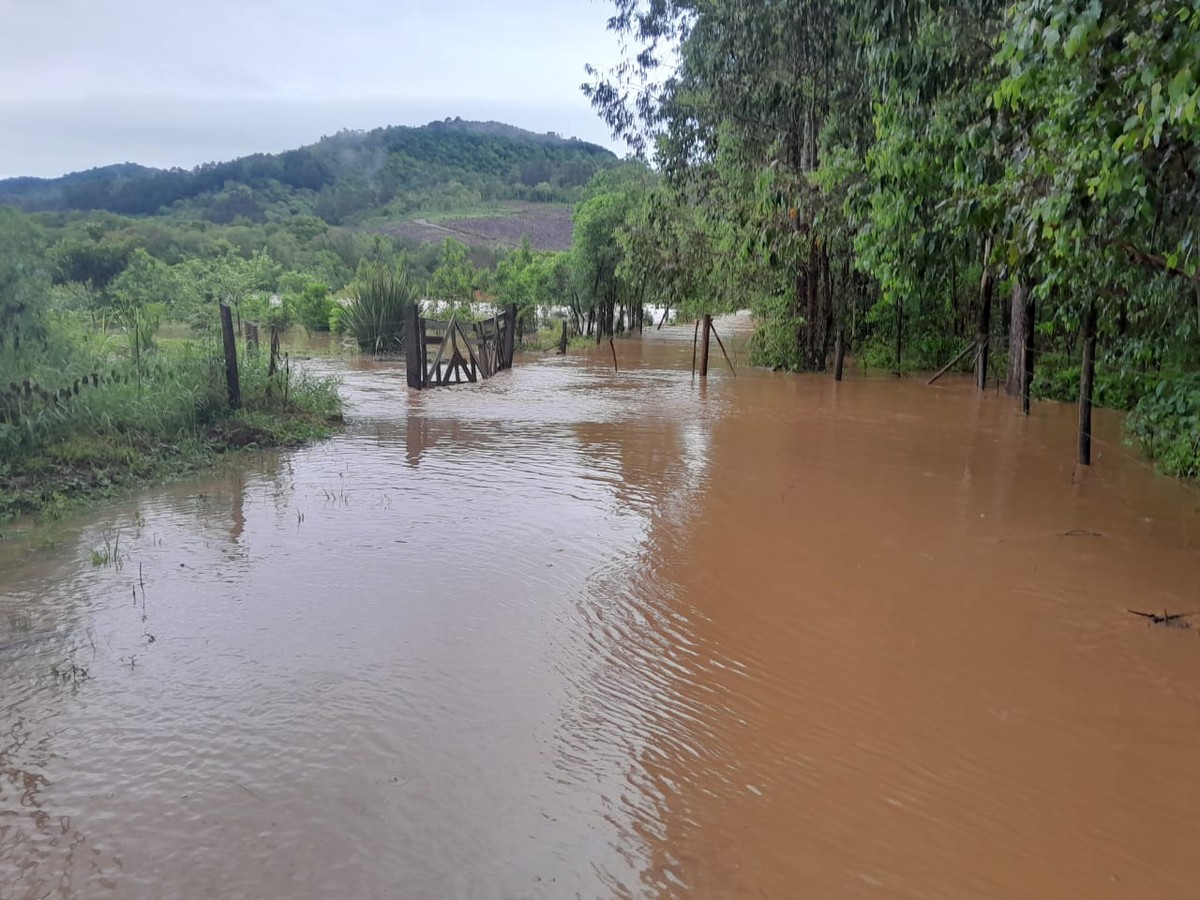 Temporais danificam áreas rurais e afetam produção de leite, hortaliças e grãos no Paraná | Tempo