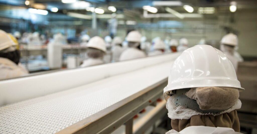 como o fechamento de frigorificos esta afetando os trabalhadores e economias locais em pequenas cidades nos eua de acordo com o portal dbo