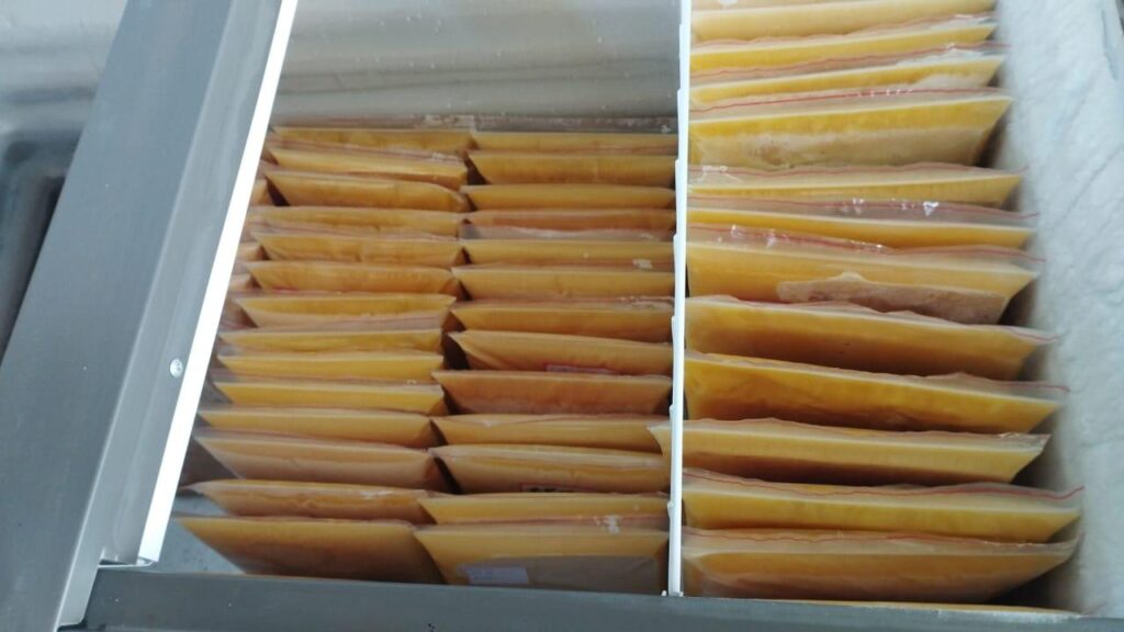 Como otimizar a produção de leite? 52 uma estratégia vital para fazendas de leite