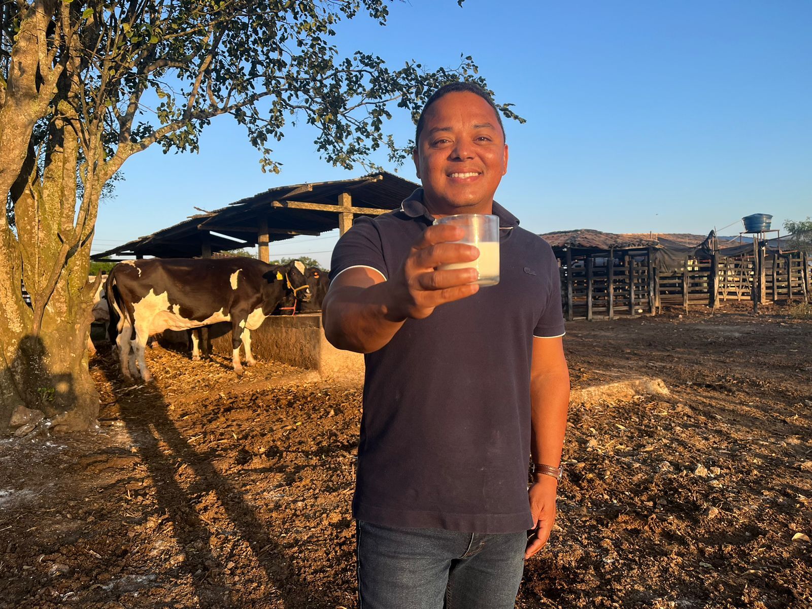 Como um analista de sistemas se tornou produtor de leite e conseguiu triplicar sua produção?