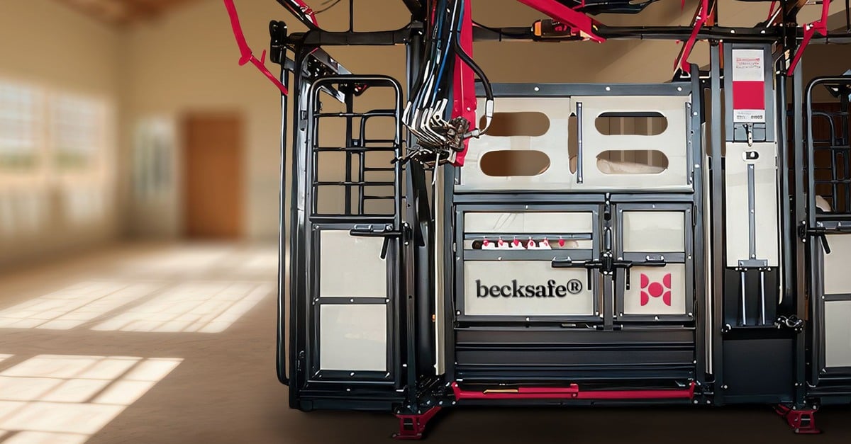 Contenção bovina revolucionária: conheça o novo conceito da marca