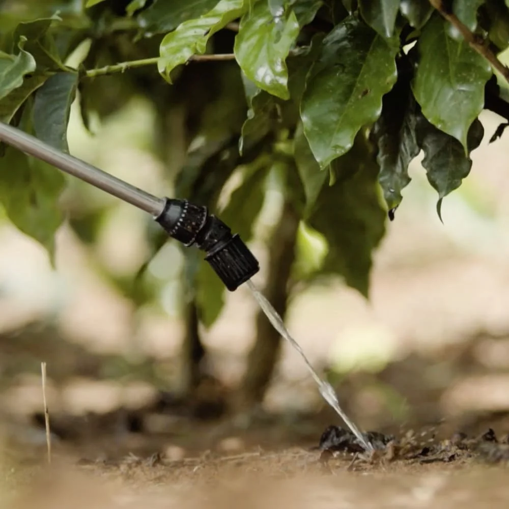 Drench no solo para café: como fazer?