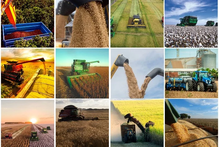 e necessario investir em mais tecnologia para o produtor rural mesmo com o avanco do agronegocio