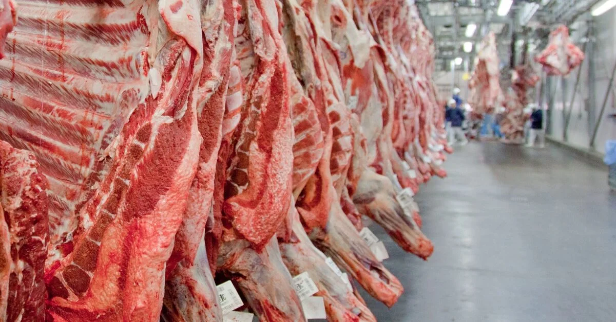 Embarques de carne bovina em alta. 20 embarques de carne bovina em alta