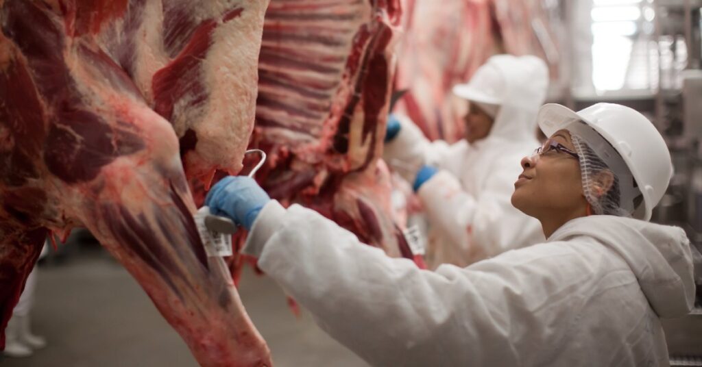 escalas de abate reduzidas negociacoes se intensificam portal dbo