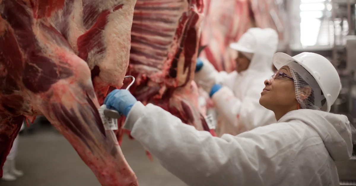 escalas de abate reduzidas negociacoes se intensificam portal dbo