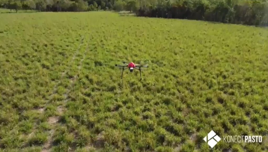 konectpasto manejo de pastagens foto nutripur