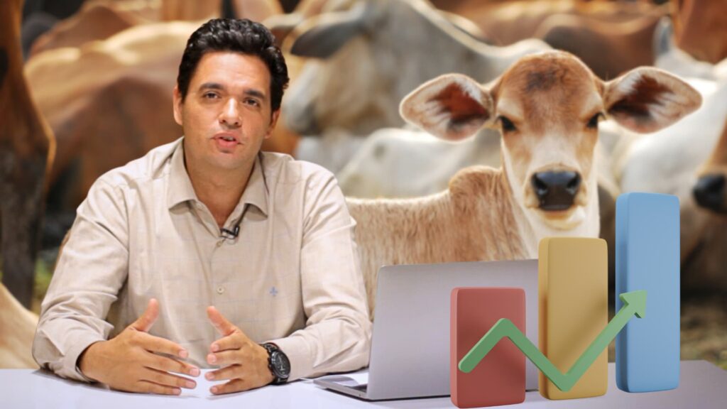 Arroba do Boi: Dois aumentos na mesma semana e escassez de animais
