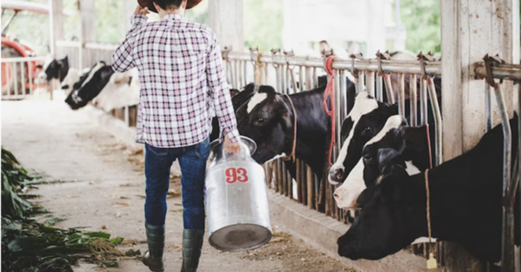 Dez anos após operação Leite Compensado, cadeia produtiva do RS é uma das mais seguras