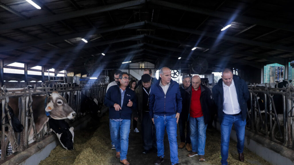 PCP defende intervenção do Governo nos custos de produção do leite