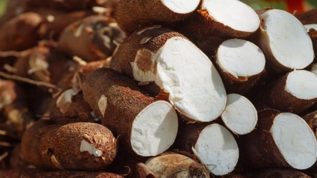 o preco da mandioca caiu voce ja conferiu 1