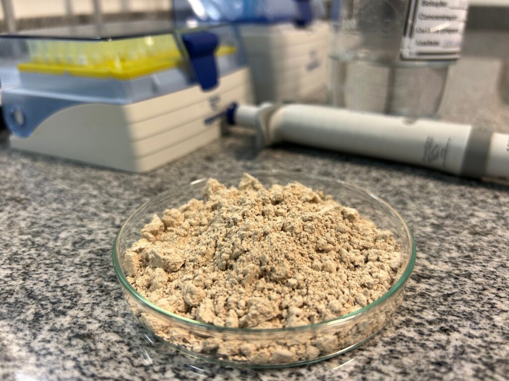 o que e o concentrado proteico de feijao carioca desenvolvido pela pesquisa