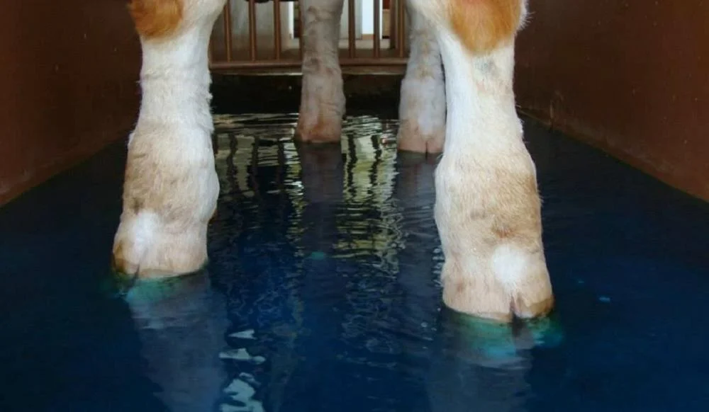 O que é pedilúvio? Principais erros cometidos. 18 Pedilúvio: o que é e principais erros cometidos