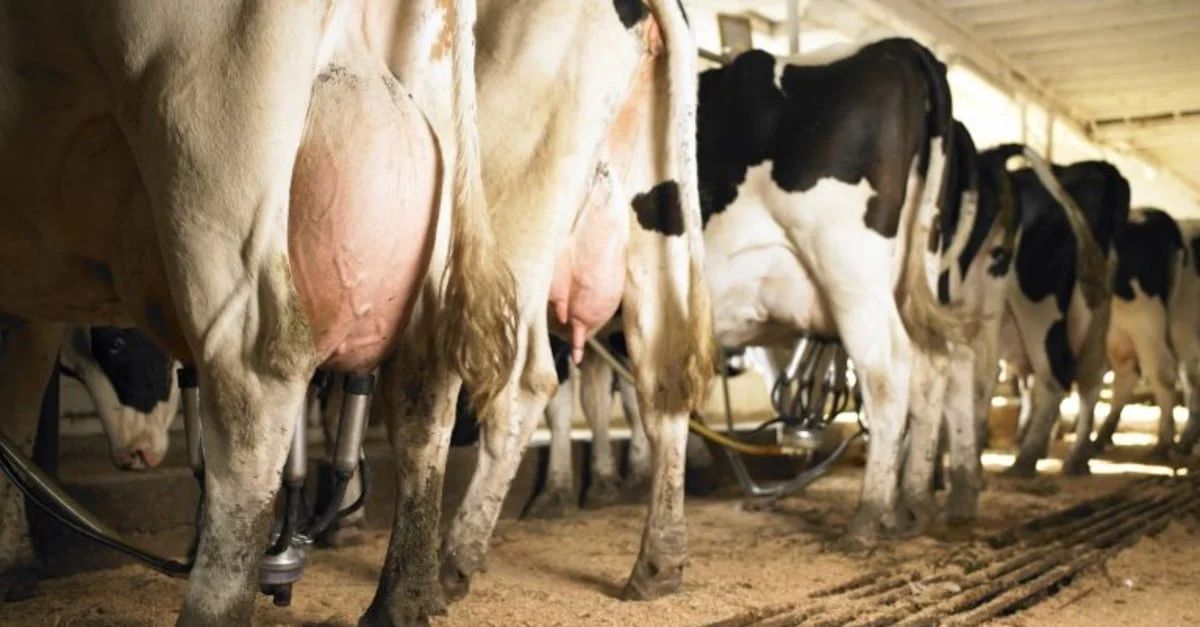 Leite: FPA vai debater situação de crise no setor