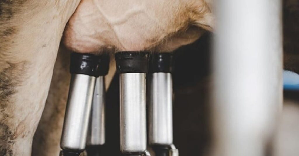 OCB cobra governo sobre decreto com medida tributária