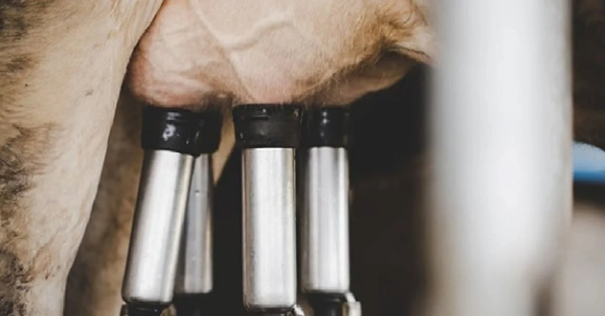 OCB cobra governo sobre decreto com medida tributária