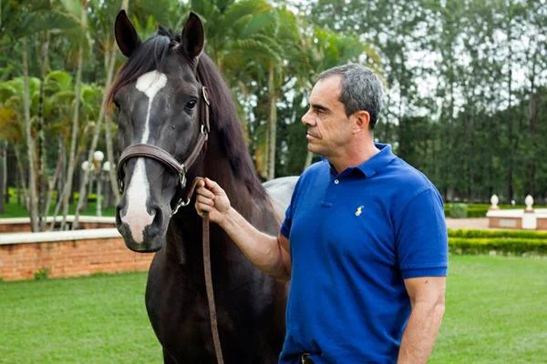 Os criadores consideram as moscas nos olhos dos cavalos um problema? 23 os criadores consideram as moscas nos olhos dos cavalos um problema