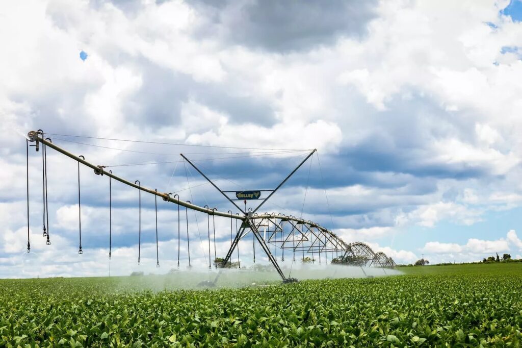 Os preços da soja seguem em baixa no Brasil? 8 soja