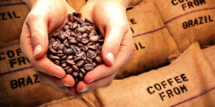 Os preços do café se mantiveram estáveis na quinta-feira após intensa volatilidade? 9 os precos do cafe se mantiveram estaveis na quinta feira apos intensa volatilidade